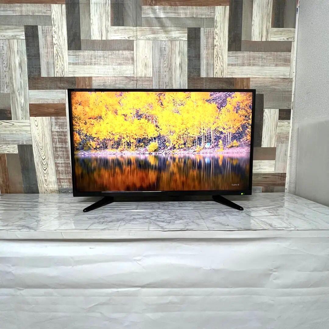 りんごさん専用全国送料込ティーズネット40型液晶地デジBS CSテレビ外付