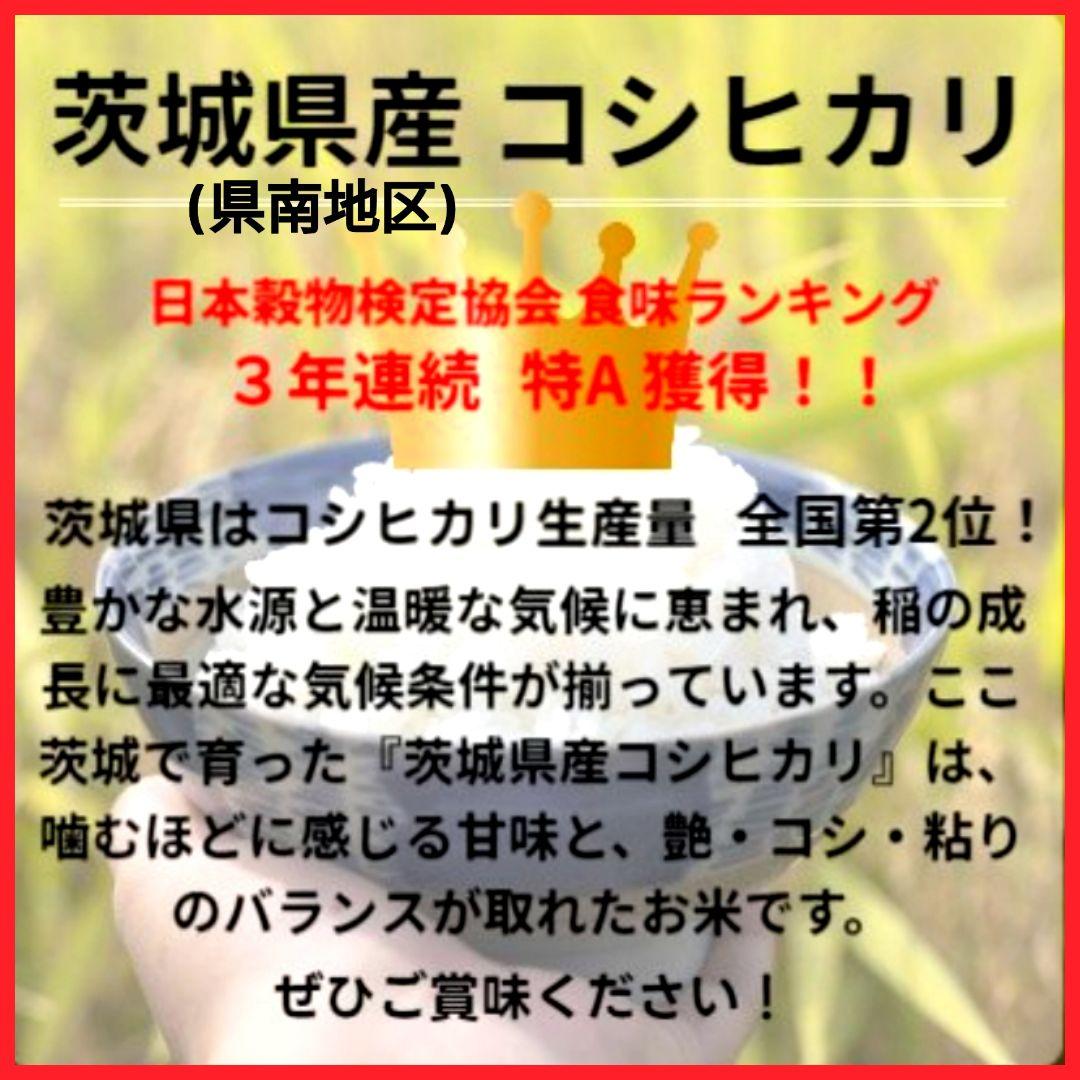 【玄米発送】令和7年産 茨城県産 新米 コシヒカリ 玄米 20Kg 20キロ ①