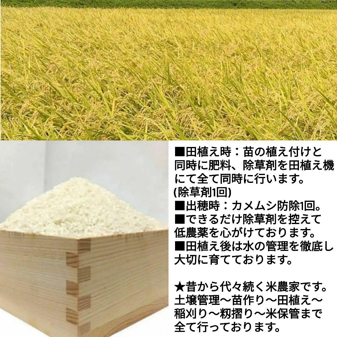 【玄米発送】令和7年産 茨城県産 新米 コシヒカリ 玄米 20Kg 20キロ ①
