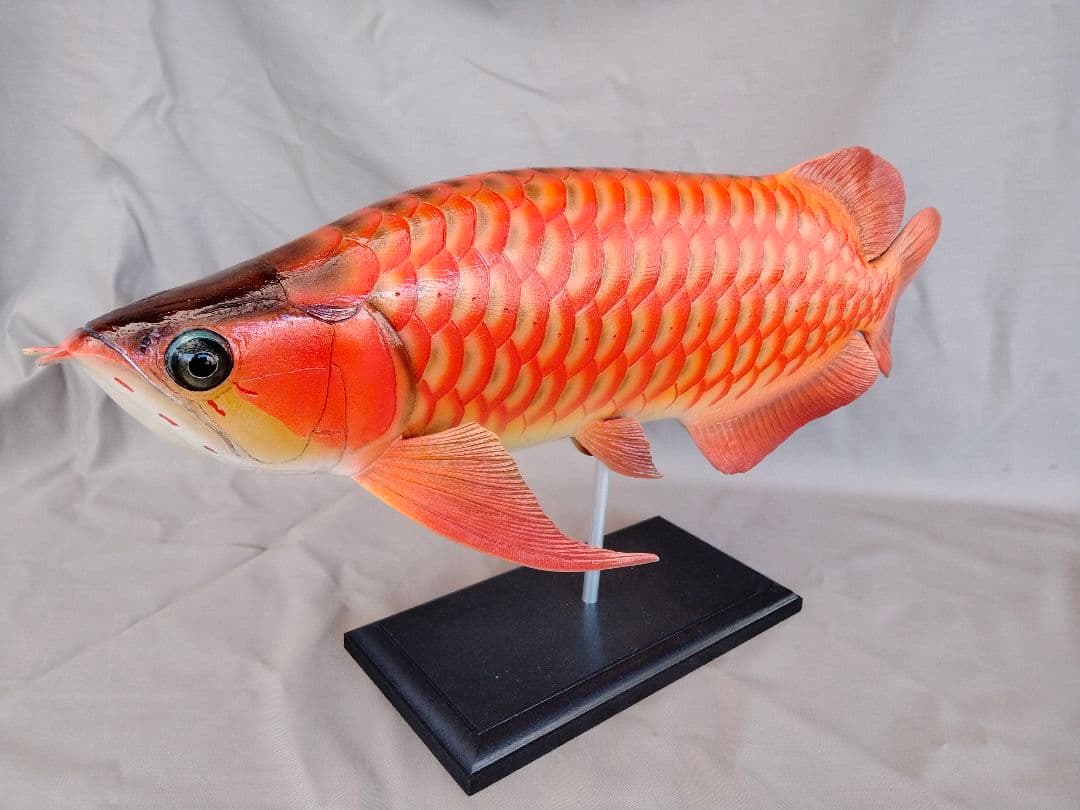 新作ハンドメイド　41cmアロワナ　フィギュア　レプリカ　熱帯魚　紅龍　レッド