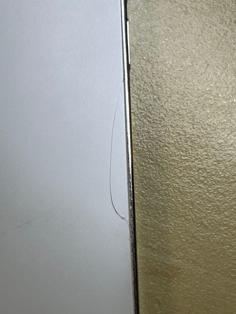 iPhone 12 Pro 本体　ジャンク品