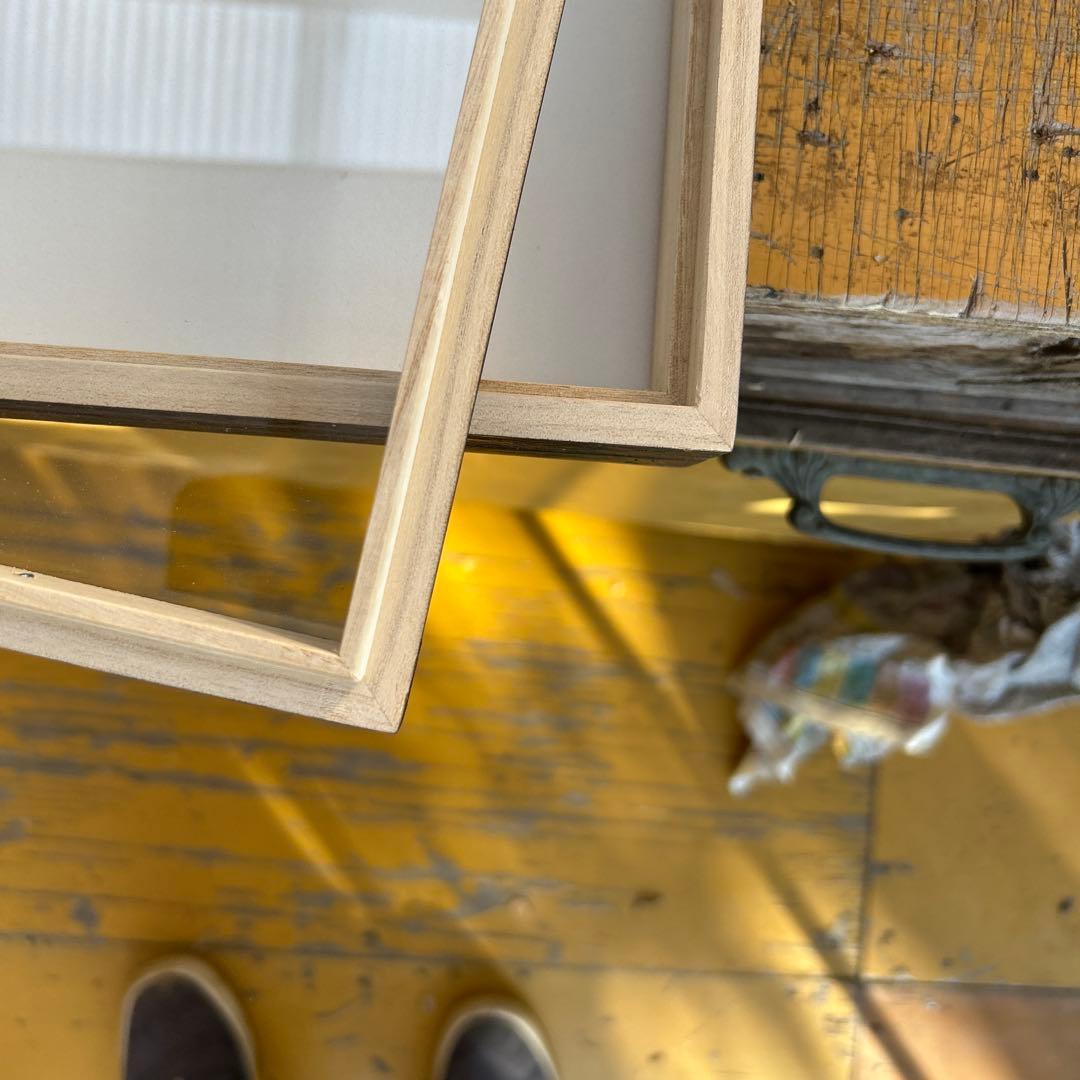 大型　中型標本箱