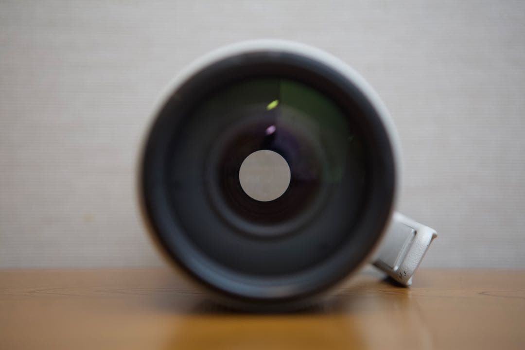 ❤️400mm望遠❤️キヤノン EF 100-400mm L IS ⅱ USM❤️