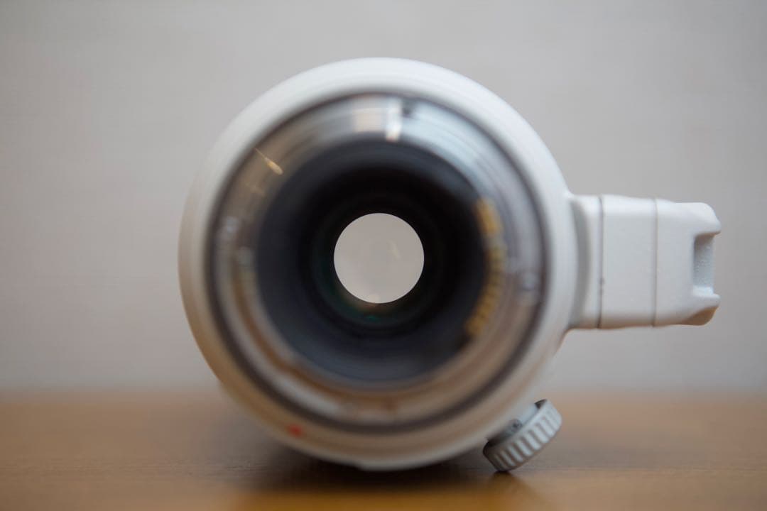 ❤️400mm望遠❤️キヤノン EF 100-400mm L IS ⅱ USM❤️