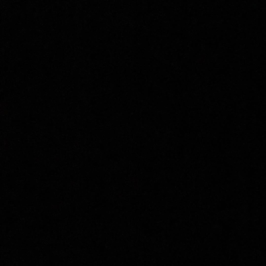 ガリクソン　24型Wチューナー