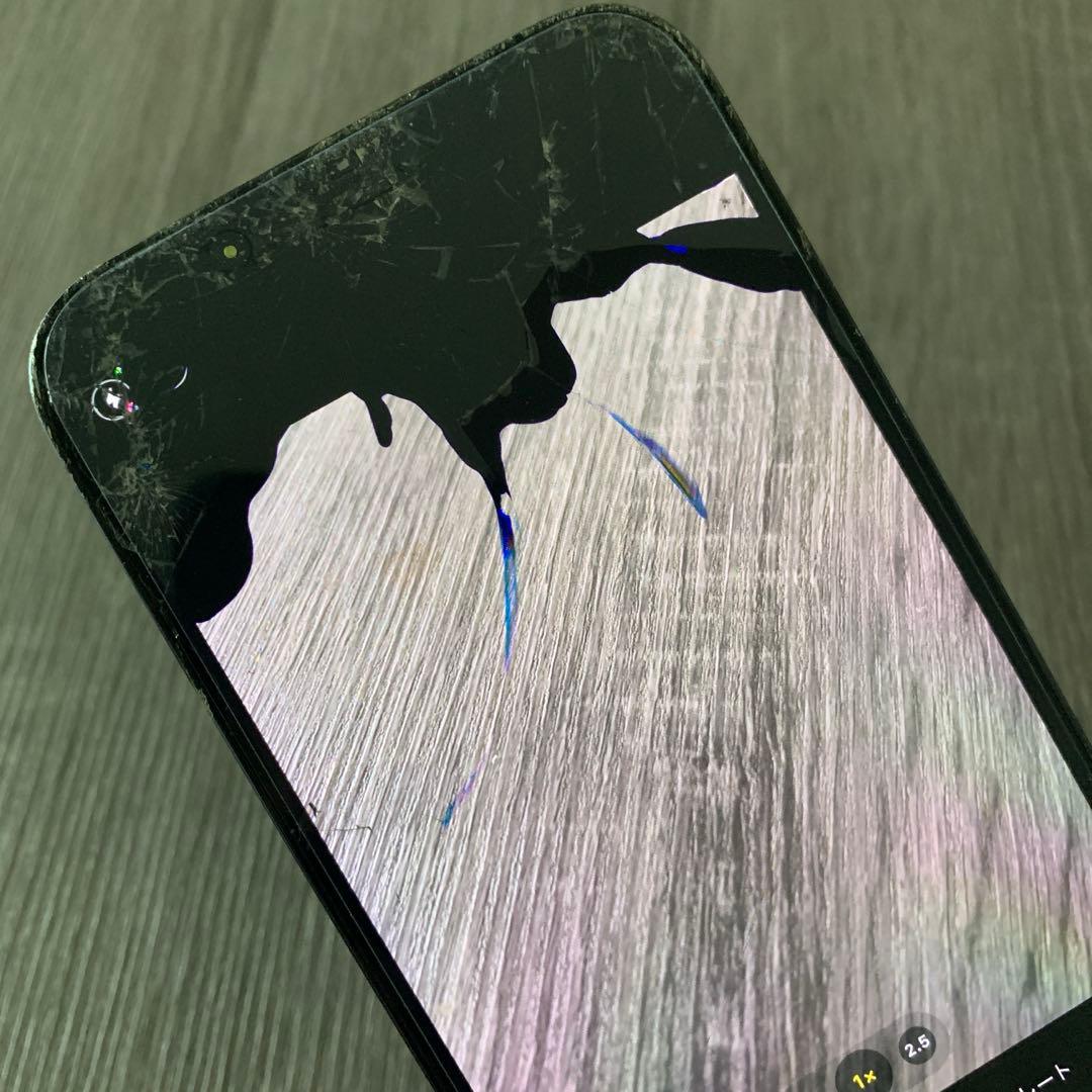 iphone12 pro max 本体 Apple