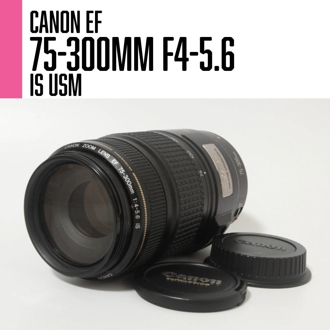 【美品】Canon EF 75-300mm F4-5.6 IS USM 望遠