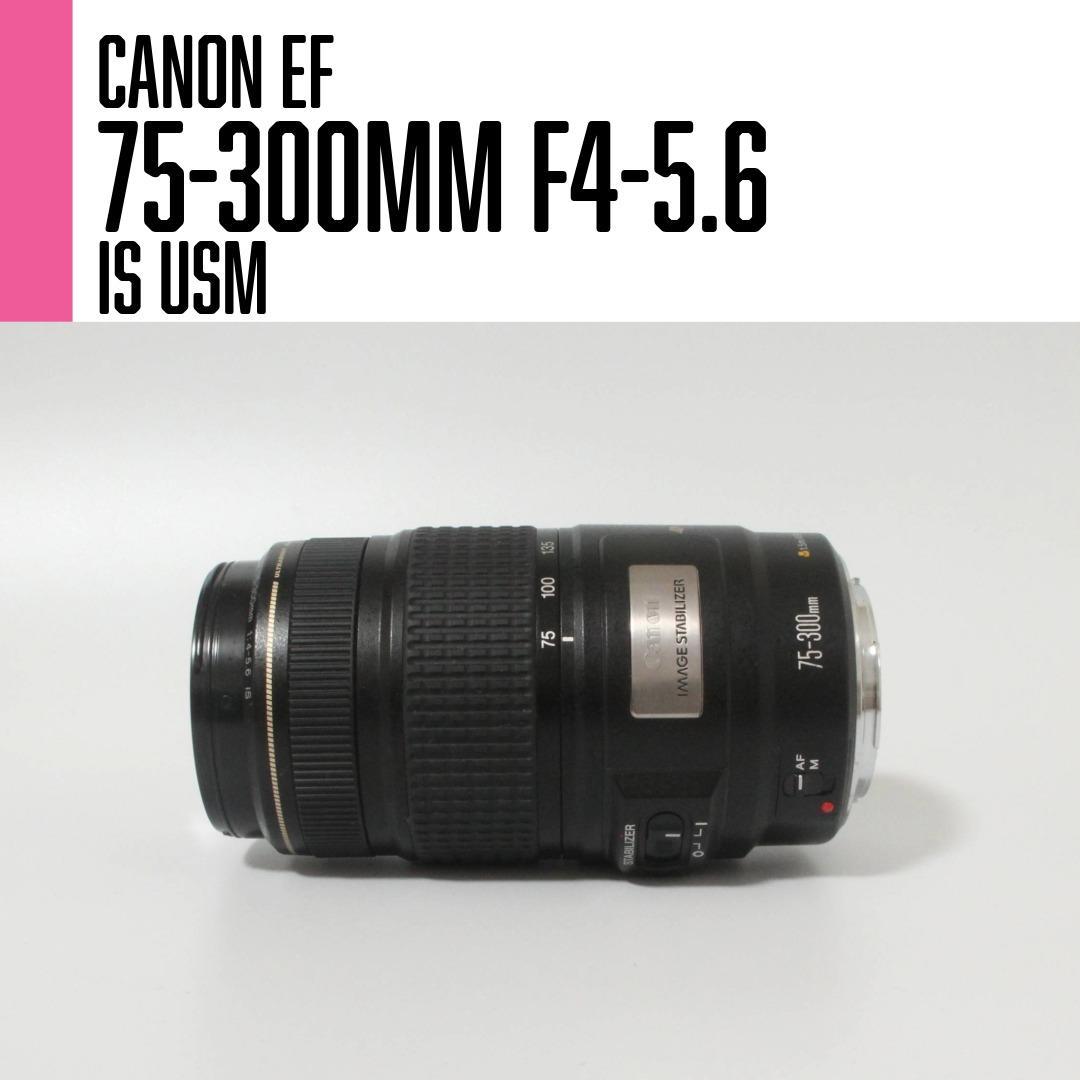 【美品】Canon EF 75-300mm F4-5.6 IS USM 望遠