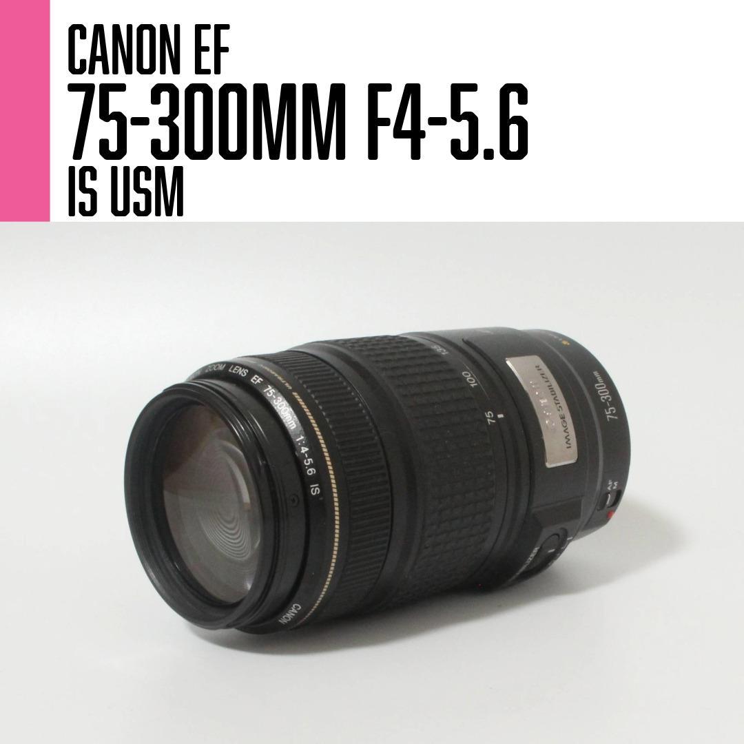 【美品】Canon EF 75-300mm F4-5.6 IS USM 望遠