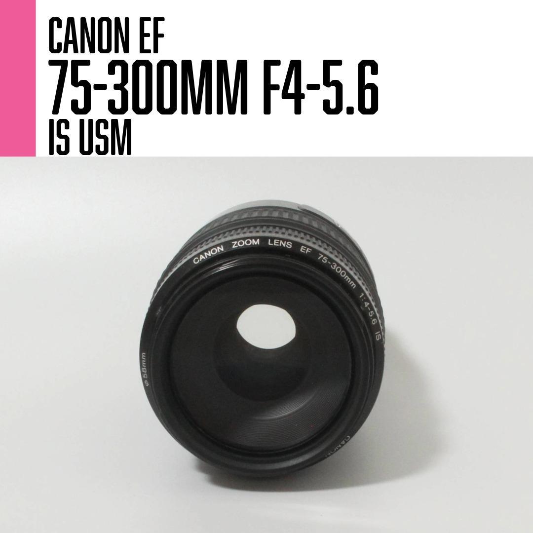 【美品】Canon EF 75-300mm F4-5.6 IS USM 望遠