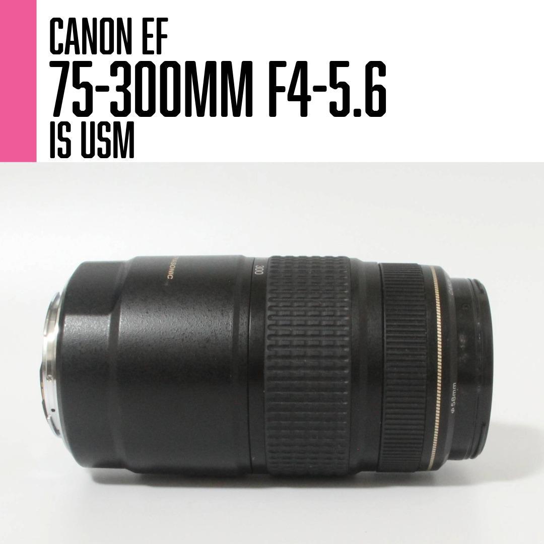 【美品】Canon EF 75-300mm F4-5.6 IS USM 望遠