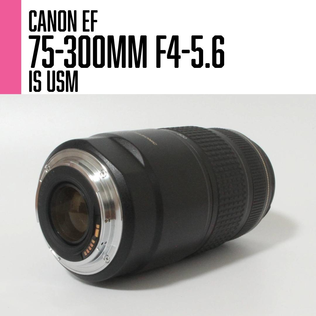 【美品】Canon EF 75-300mm F4-5.6 IS USM 望遠