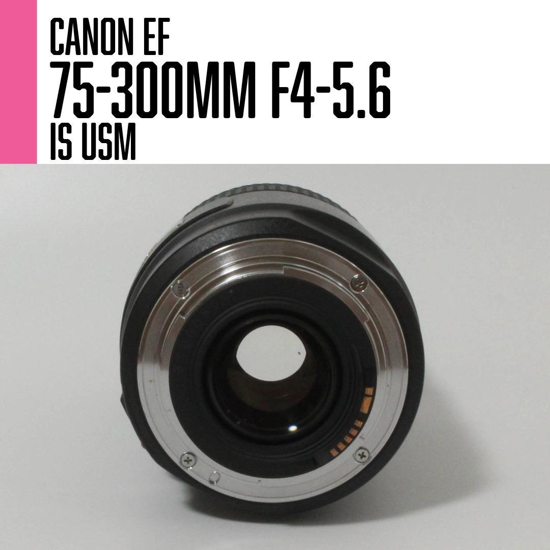 【美品】Canon EF 75-300mm F4-5.6 IS USM 望遠