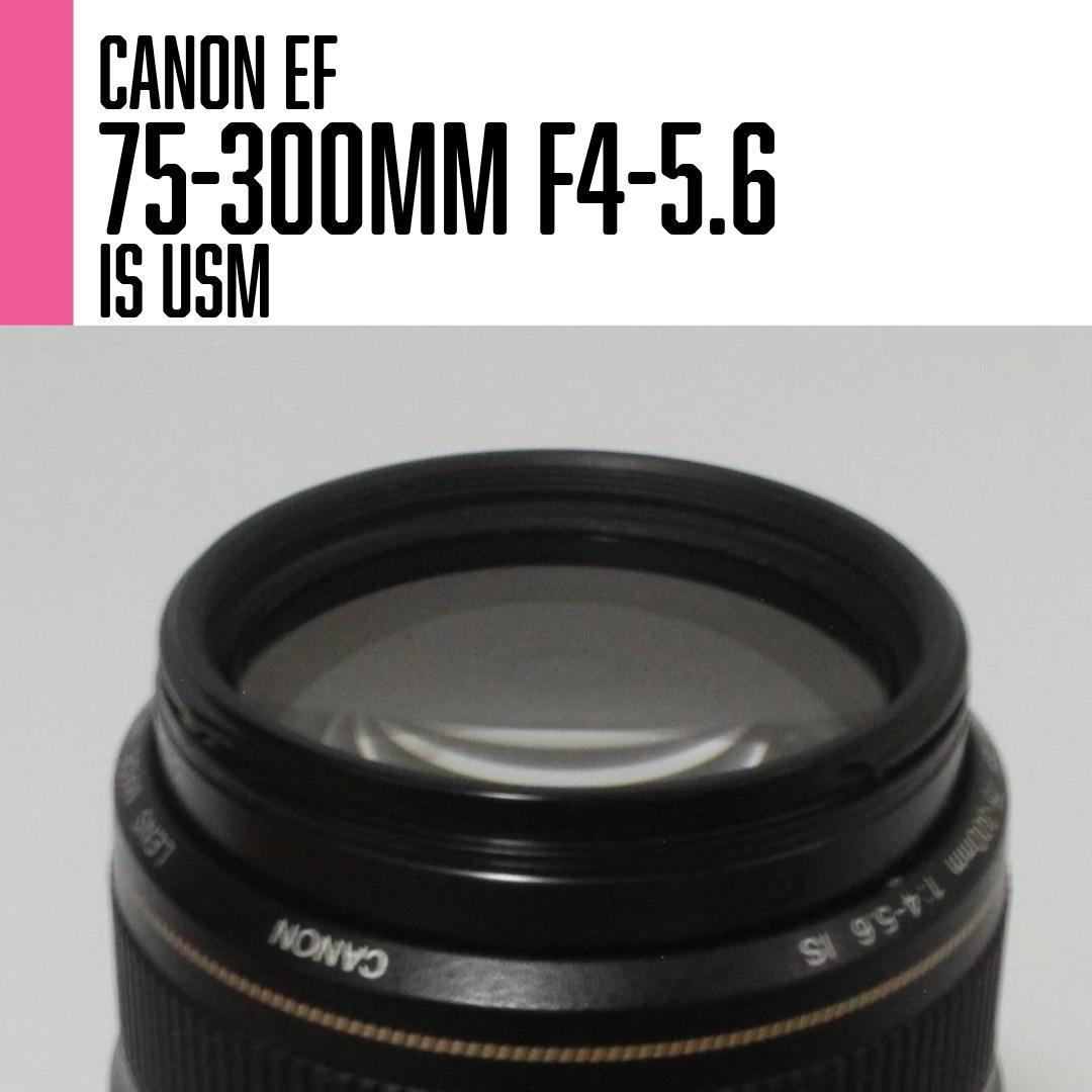 【美品】Canon EF 75-300mm F4-5.6 IS USM 望遠