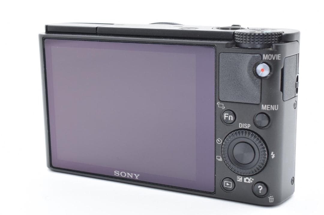 【極美品】ソニー SONY Cyber-shot DSC-RX100 コンデジ