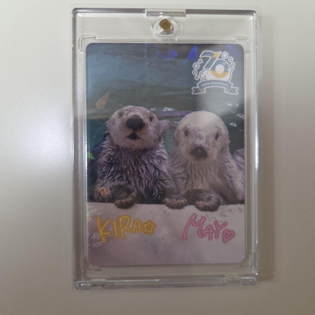 鳥羽水族館　コレクションカード　レア　メイ　キラ