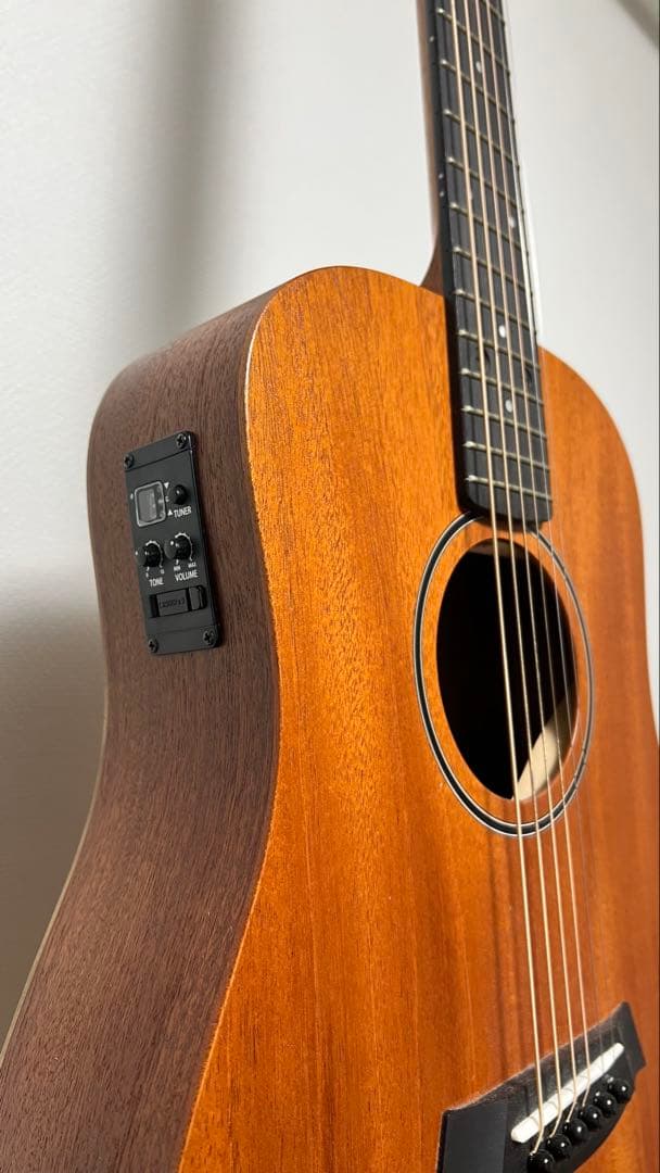 【期間限定大幅値下げ】BT2e Taylor ベイビーテイラー Mahogany
