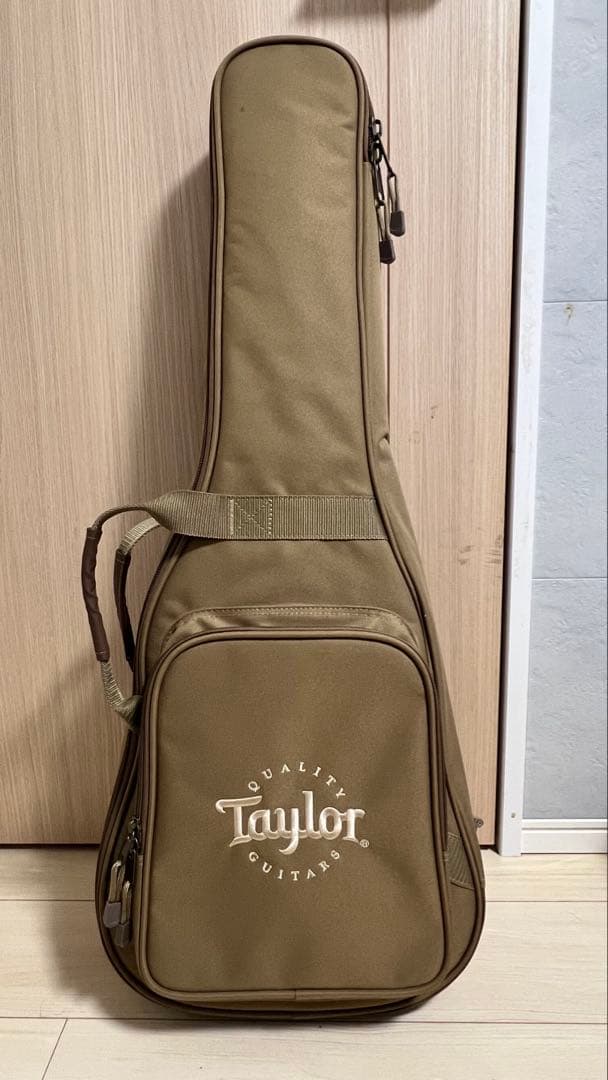 【期間限定大幅値下げ】BT2e Taylor ベイビーテイラー Mahogany