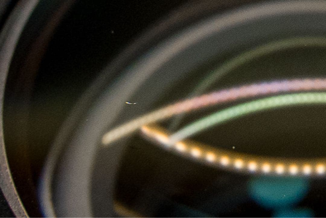 LUMIX 50mm S 1.8 並品　作例あり