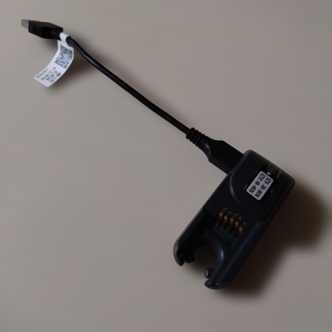 SONY NW-WS623 ワイヤレスイヤホン