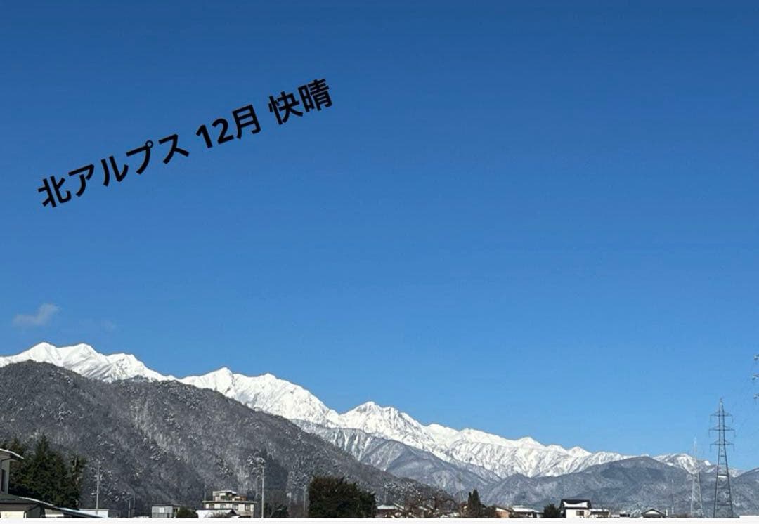 長ネギ 18kg＋ちょっとオマケ