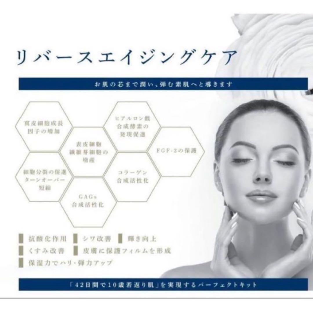 REGENA セラム・クリーム 4点セット