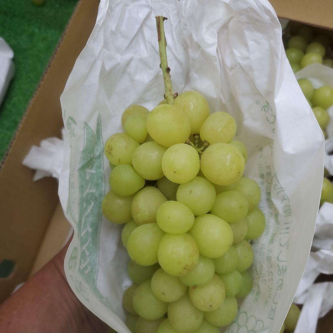 3️⃣ 山梨県産 シャインマスカット １１房入り 箱込み5.5キロ