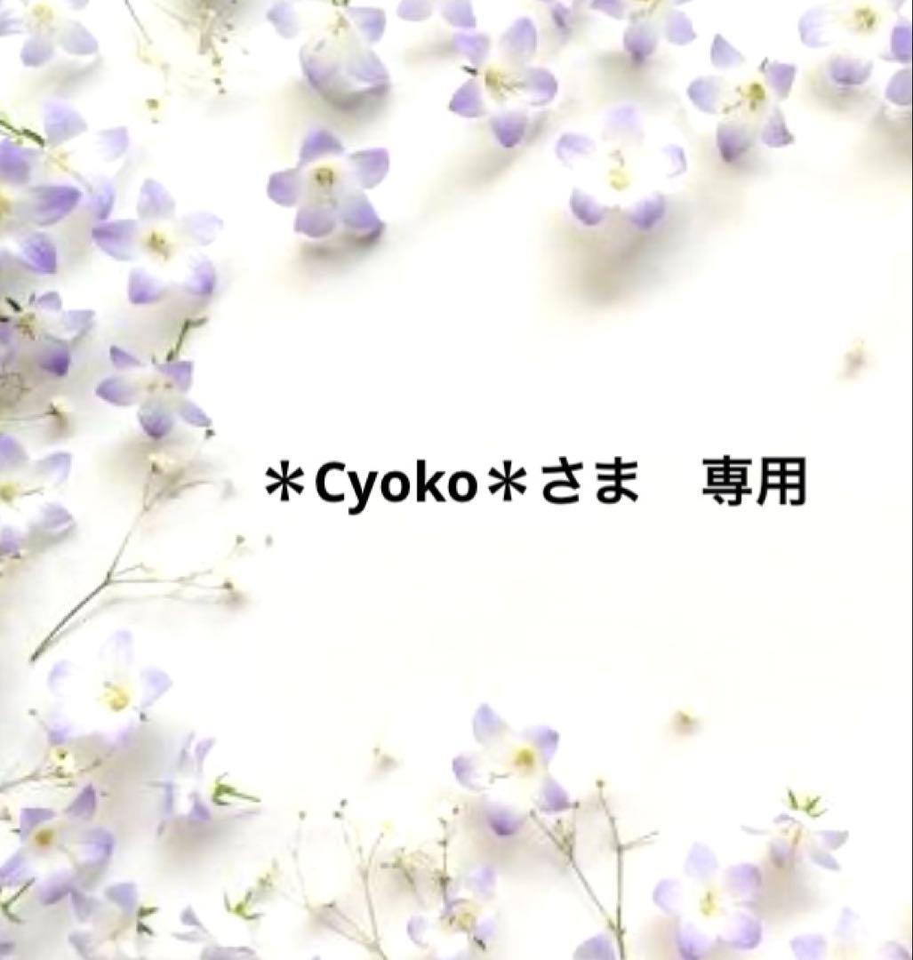 ＊Cyoko＊さま　専用です♪