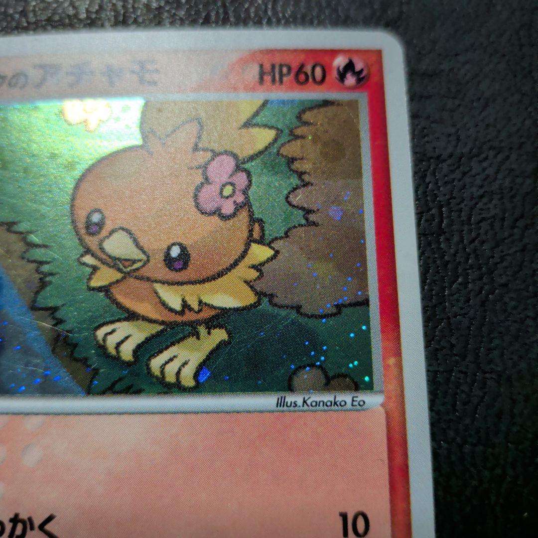 ト*カ様 ポケパークのアチャモ ポケパークプレミアムファイル 002/009