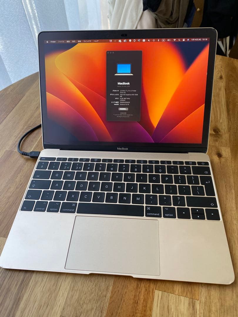 ゴールド MacBook 2017 革ケースつき