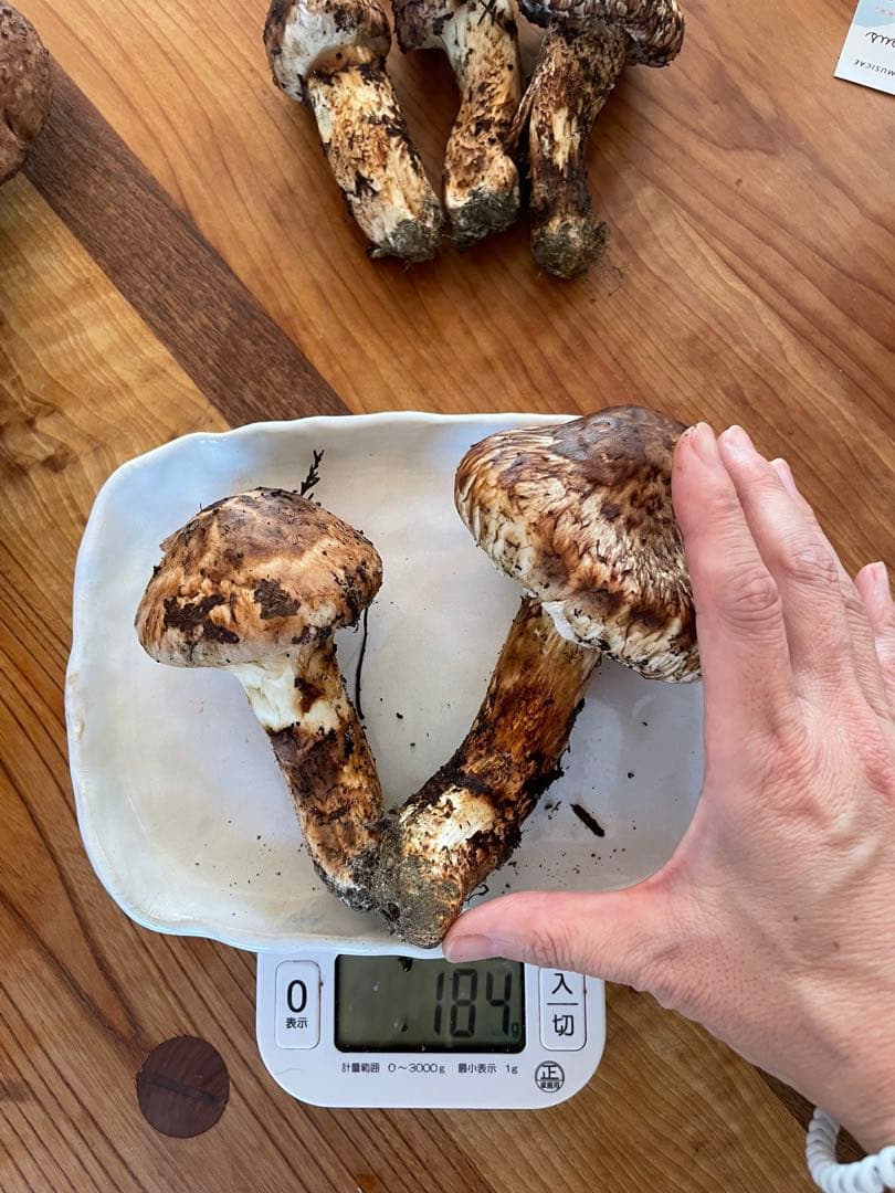 【訳あり価格！】天然 松茸 180グラム 送料込み！