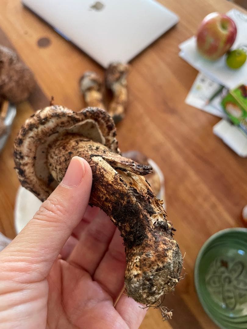 【訳あり価格！】天然 松茸 180グラム 送料込み！