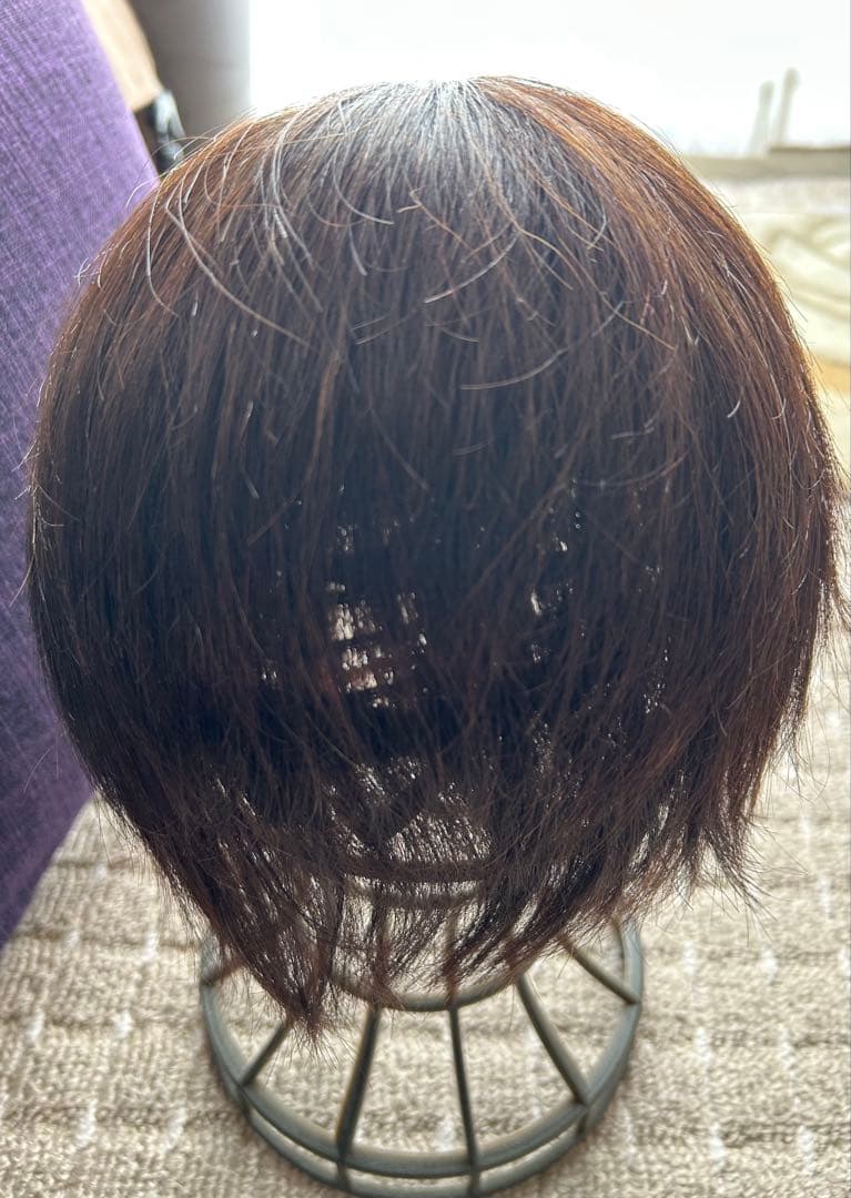 プリシラ人毛100％ 五分ウィッグ ショートヘアピース