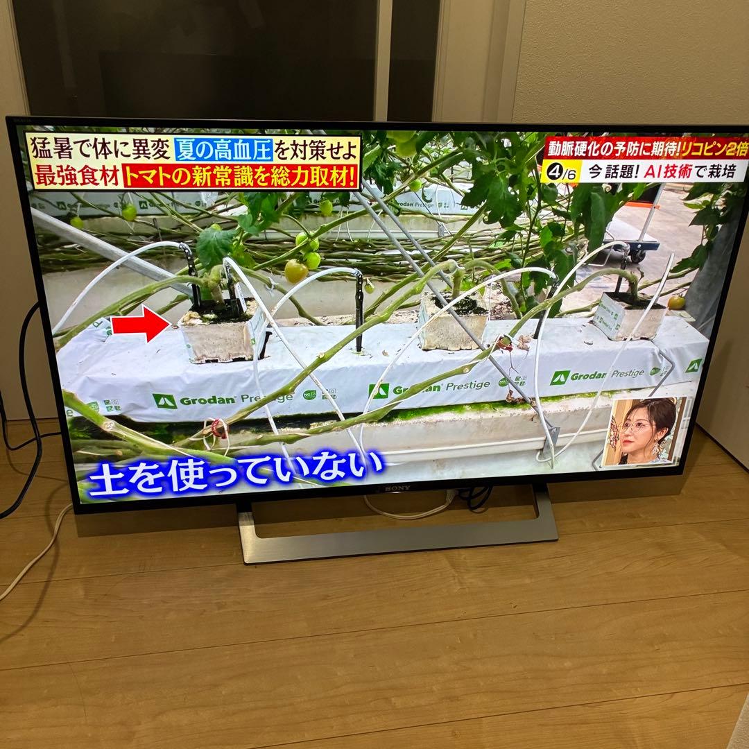 スマートテレビ　4K対応！SONY ソニー　KJ-43X8300D　超美品!