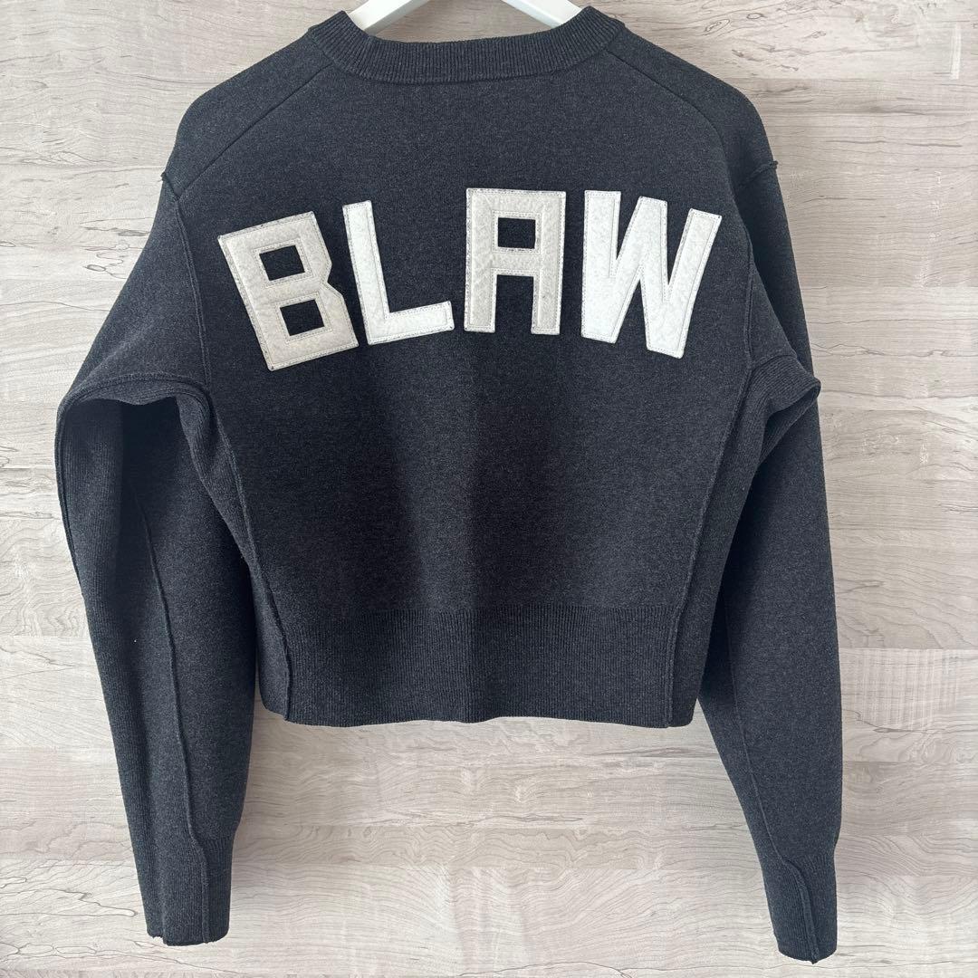 アダムエロペ　【サステナブル・洗える】フェルト刺しゅうニットプルオーバー