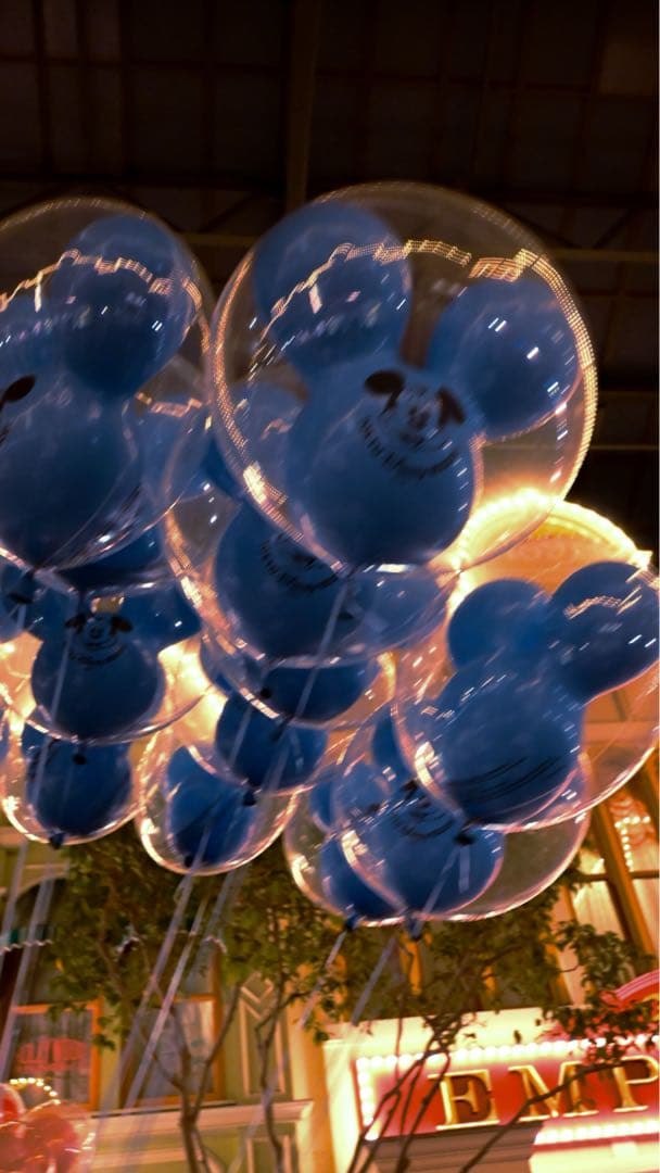 作画有　Nikon Z 50 16-50mm 付属品