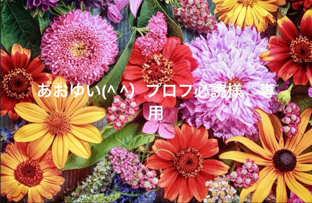 あおゆい(^ ^）プロフ必読