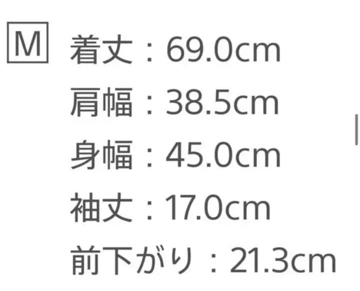 SONY REON POCKET レオンポケット 空調服インナーMサイズ