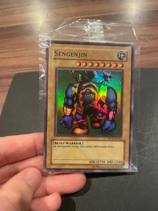 限定出品【世界1600枚限定】千年原人　⭐️傷なし美品⭐️