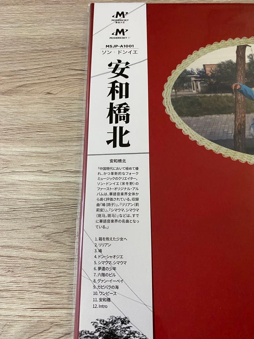 新品日本盤レコードLP2枚組　ソン ドンイェ 宋冬野　安和橋北 アナログレコード