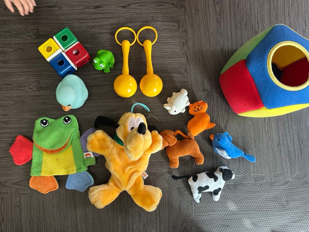 ディズニー英語システム プレイアロング DVD 新子役 字幕有 DWE おもちゃ