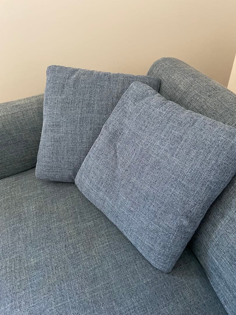 大幅値下げ LOWYA 2人掛けソファ クッション付き