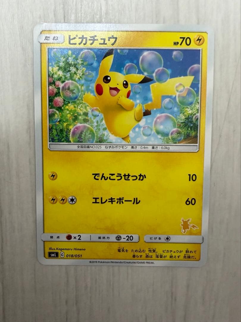 ファミリーポケモンカードゲーム　サン&ムーン