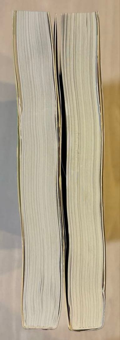 【2冊セット】アトキンス 物理化学 第10版 上下