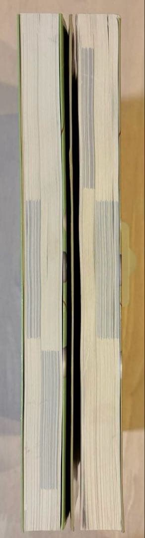 【2冊セット】アトキンス 物理化学 第10版 上下