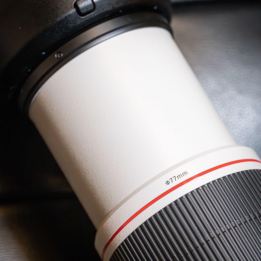 レンズ(ズーム) Canon EF100-400mm f4.5-5.6L IS II USM