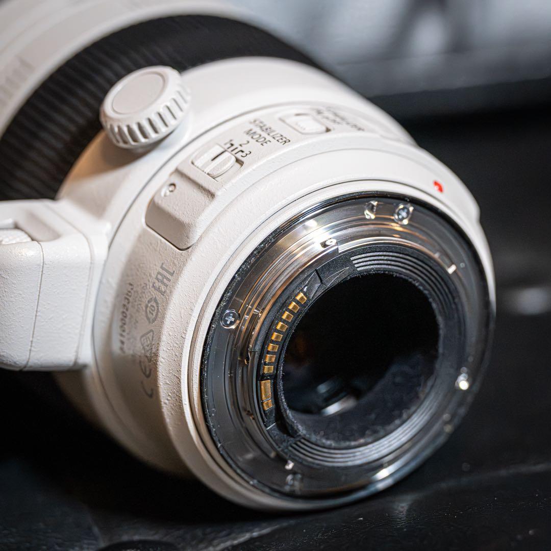 レンズ(ズーム) Canon EF100-400mm f4.5-5.6L IS II USM