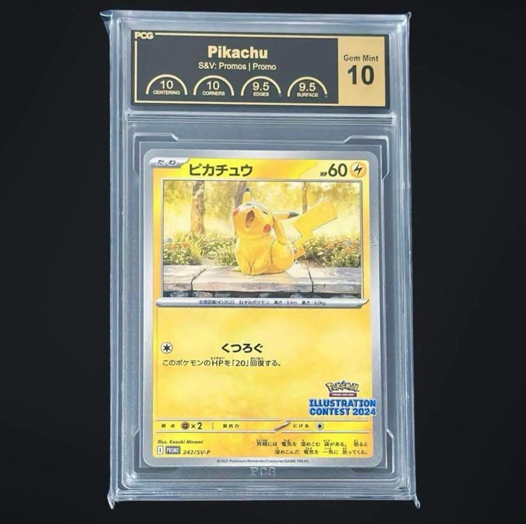 【PCG10】ピカチュウ イラストコンテスト 242/SV-P PSA10相当