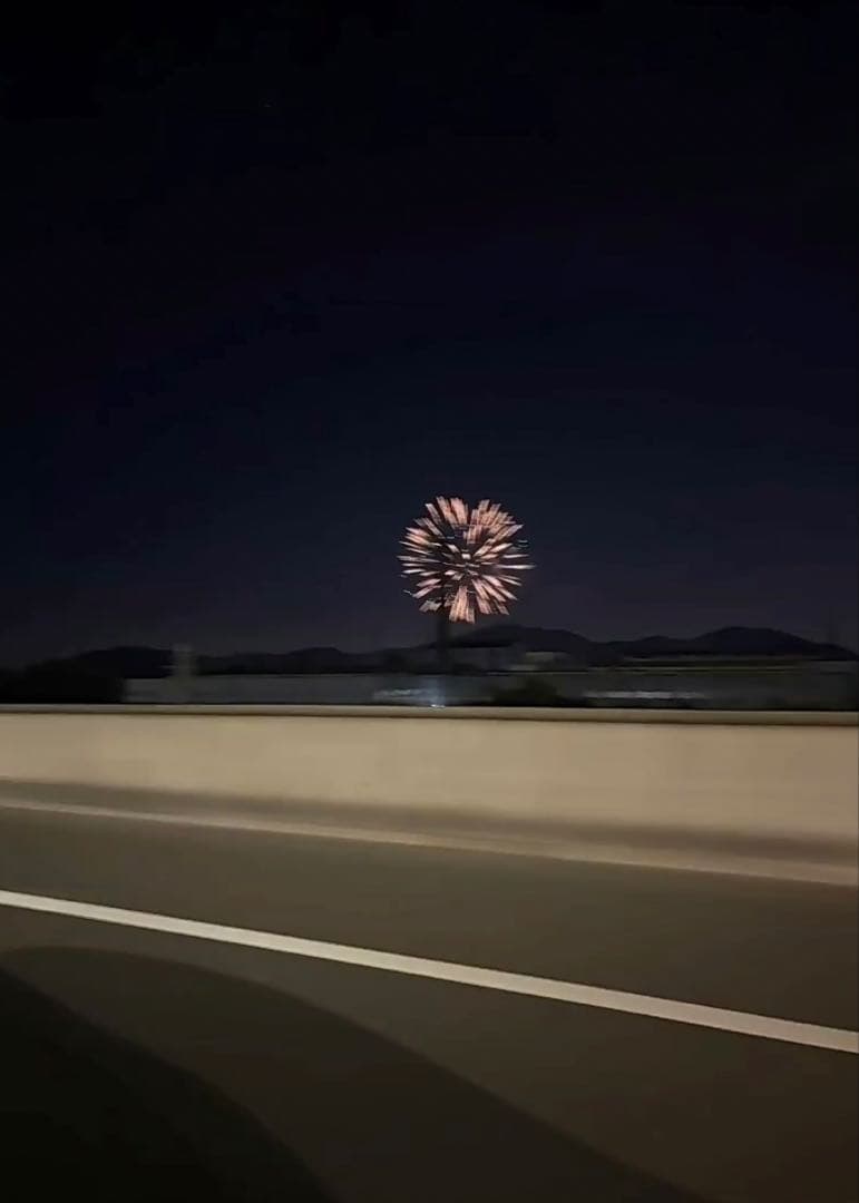 ミキハウススニーカー17HOT BISCUITSスニーカー　兎　キッズスニーカー