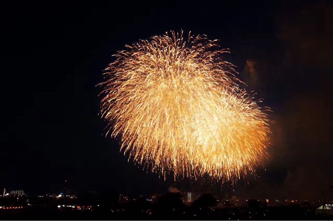 ミキハウススニーカー17HOT BISCUITSスニーカー　兎　キッズスニーカー